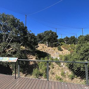 California Trail - California Condor Aviary