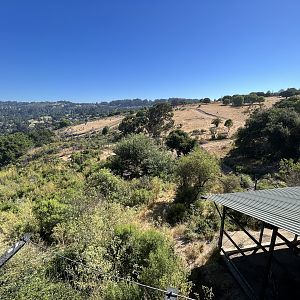 California Trail - Gray Wolf Exhibit