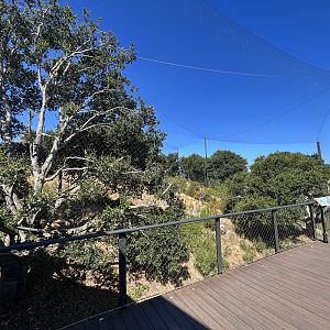 California Trail - California Condor Aviary