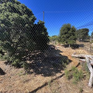California Trail - Jaguar Exhibit