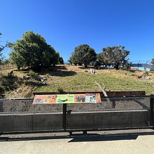California Trail - Black Bear Exhibit