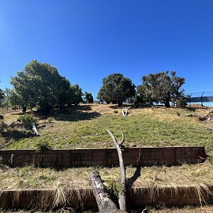 California Trail - Black Bear Exhibit