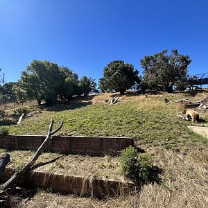 California Trail - Black Bear Exhibit
