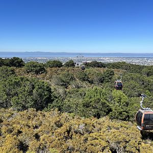 California Trail - Gondola Ride