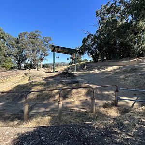 African Elephant Exhibit