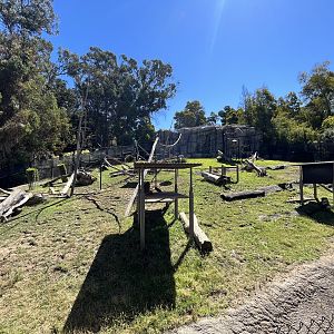Hamadryas Baboon Exhibit