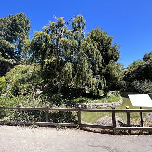 White-handed Gibbon Island