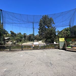 Lesser Flamingo Aviary