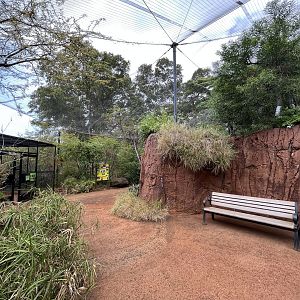 African Walkthrough Aviary