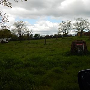 African wild dog area 150523