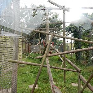 Ring-tailed lemur enclosure 300623