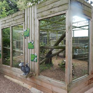 Fishing cat enclosure 300623