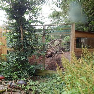 Tayra enclosure 300623