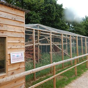 Palawan binturong enclosure 300623