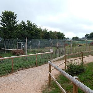 Maned wolf enclosure 300623