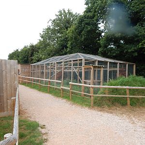 Palawan binturong enclosure 300623