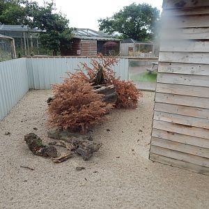 Meerkat enclosure 300623