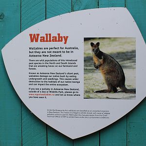 Pest wallaby signage