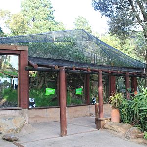 Ruffed Lemur enclosure, exterior