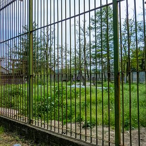 enclosure of brown bear
