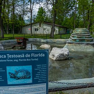 enclosure of tortoise
