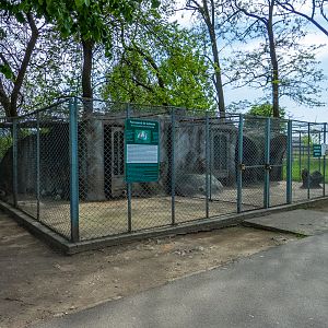 enclosure of guinea pigs