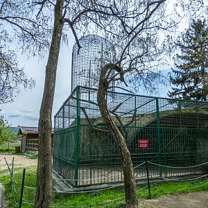 enclosure of rhesus macaque