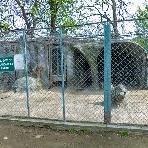 enclosure of porcupine
