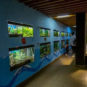 aquariums