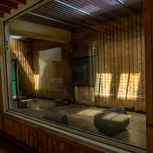 indoor enclosure of monkeys