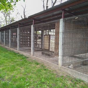 enclosure of doves and parrots