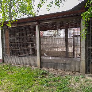 enclosure of doves and parrots