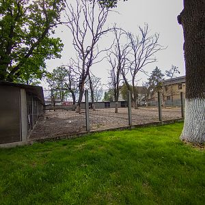 enclosure of ponies and deers