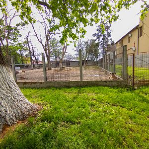 enclosure of ponies and deers