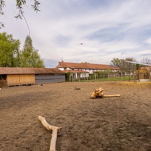 enclosure of ungulates