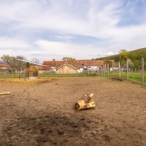 enclosure of ungulates