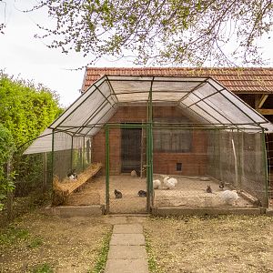 enclosure of chicken and bunnies
