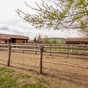 enclosures of donkeys and goats
