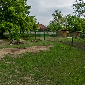 enclosure of alpaka