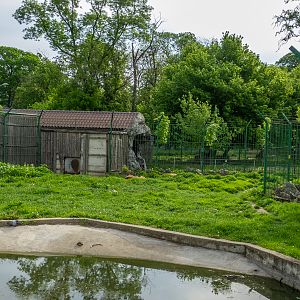 enclosure of brown bear
