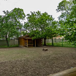 enclosure of fellow deer