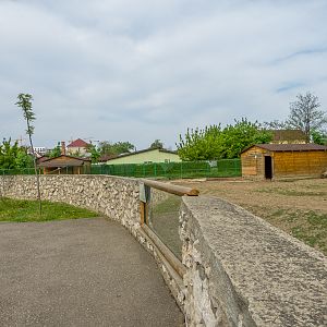 enclosure of elen antelope