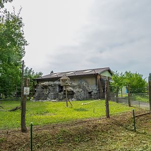 enclosure of tufted capuchin