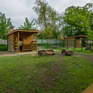 enclosure of blackbuck