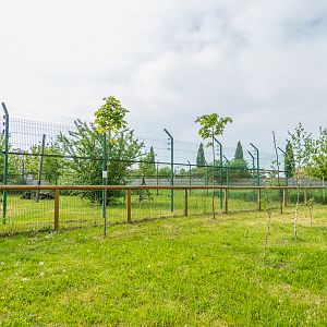 enclosure of japanese macaque