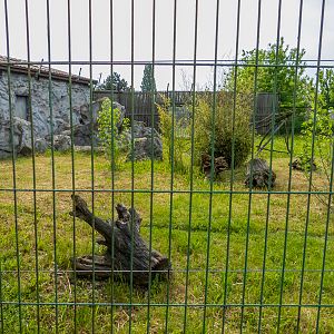 enclosure of japanese macaque
