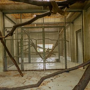 enclosure of japanese macaque