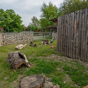 enclosure of bunnies