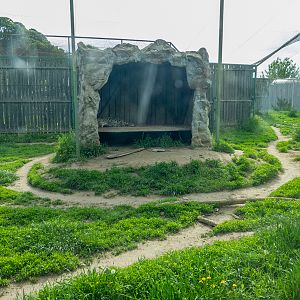 enclosure of leopard