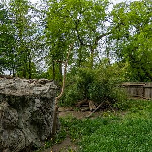enclosure of coati & raccoon